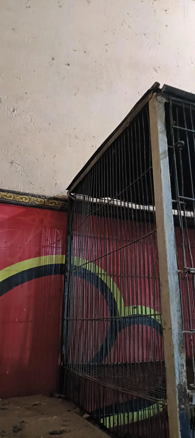 parrot cage — photo 2
