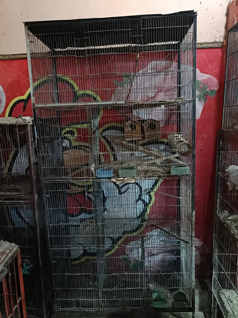 parrot cage — photo 3