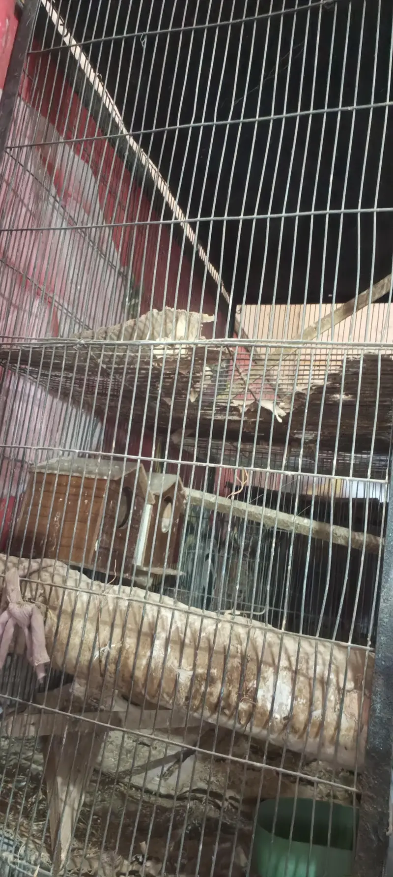 parrot cage — photo 5