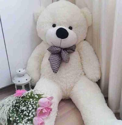 Teddy bear #Imported teddy#Gaint teddy#Gifts
