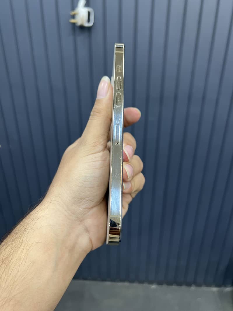 Apple iPhone 12 Pro Max 1