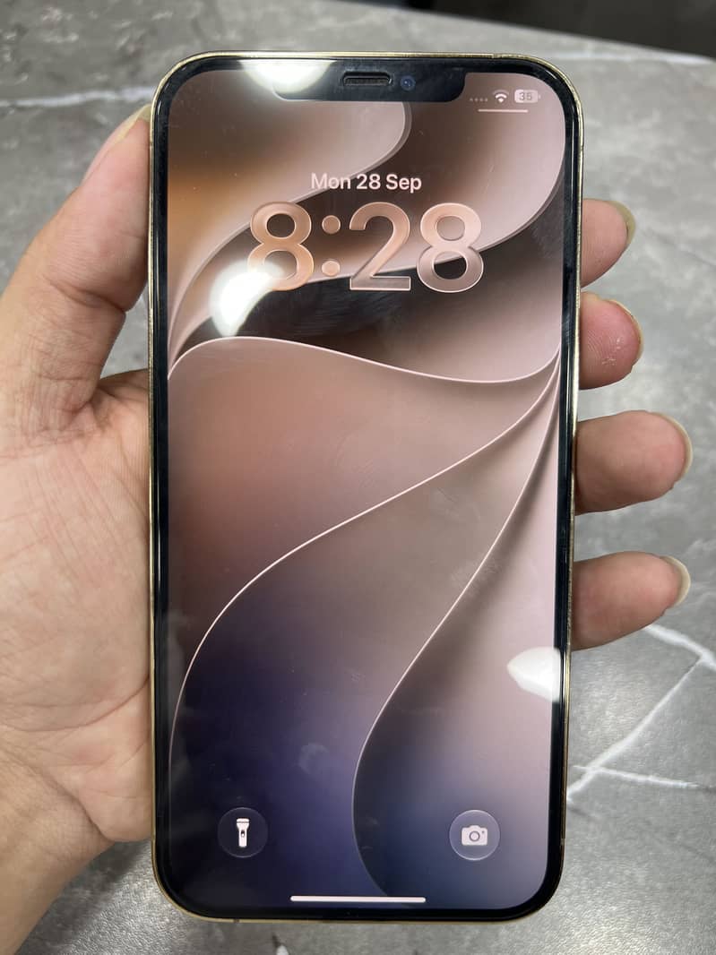 Apple iPhone 12 Pro Max 2