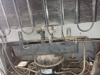 //Dawlance//Refrigerator for sale