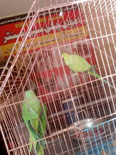 urgent sale
