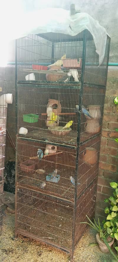 4 potion angle Cage only cage not a Bird