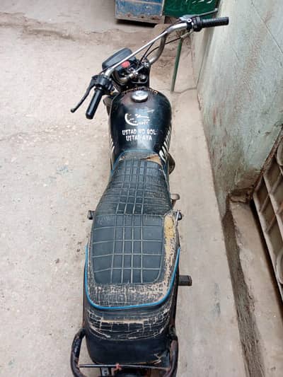 Unique Model 2013