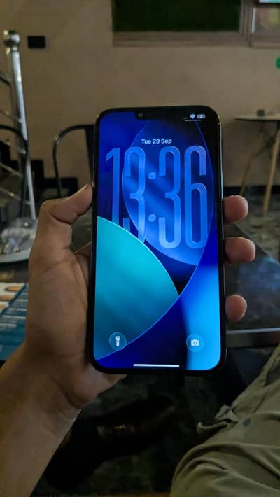 Apple iPhone 13 Pro Max