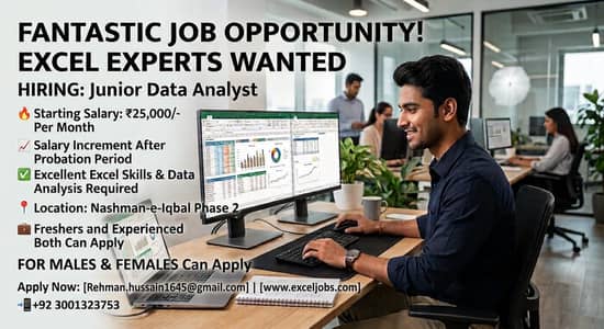 Assistant Required who knows work on  Excel