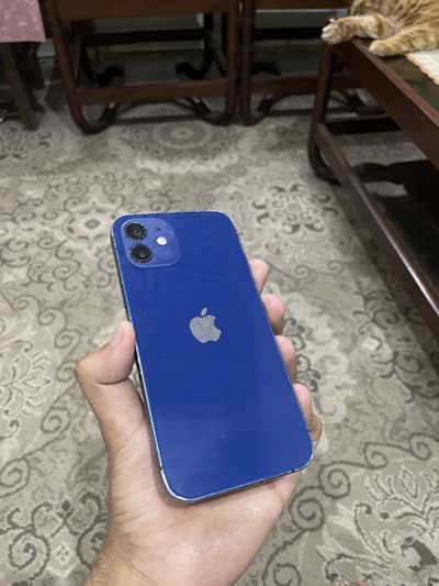 Apple iPhone 12