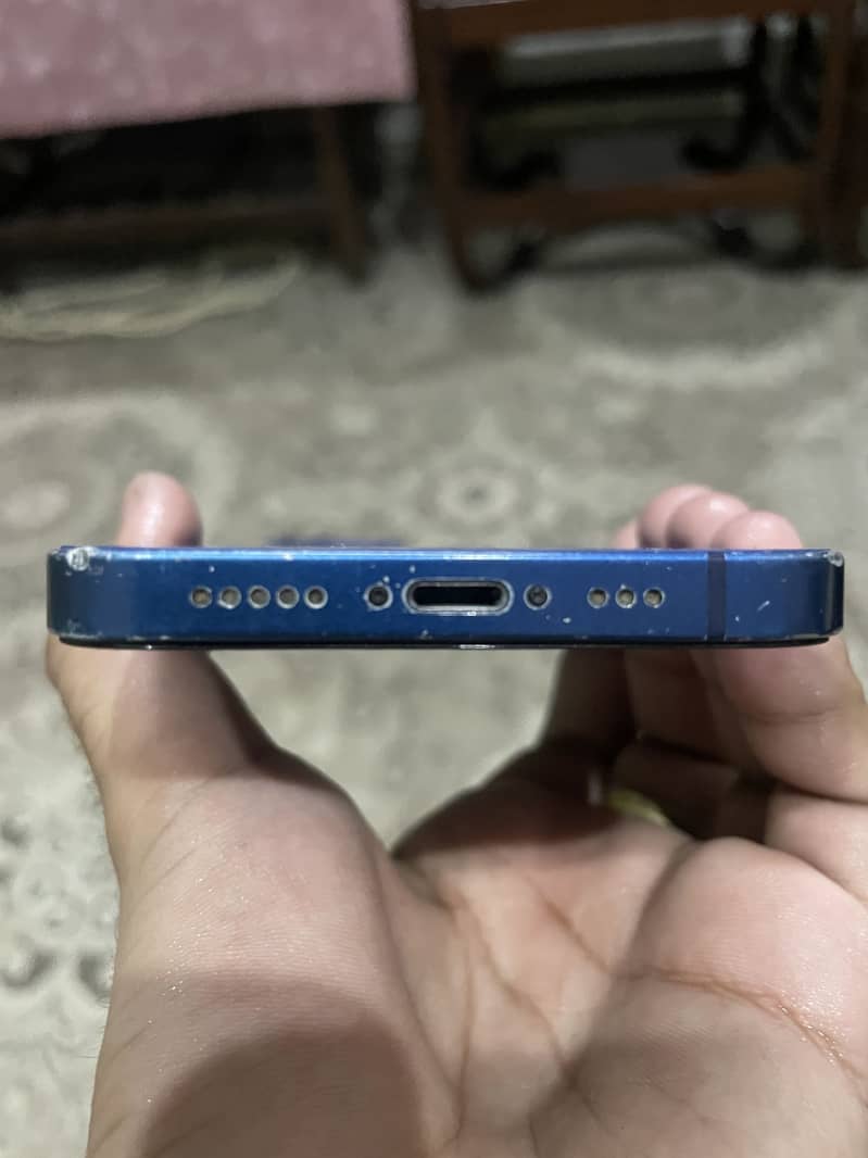 Apple iPhone 12 1