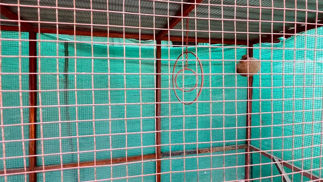 Big Steel Cage For Sale — photo 2