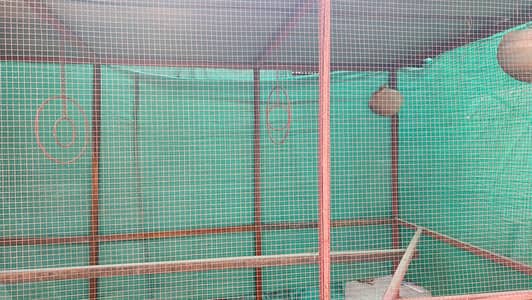 Big Steel Cage For Sale