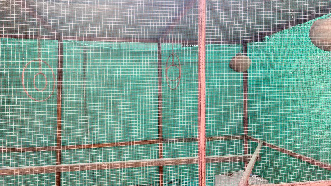 Big Steel Cage For Sale — photo 4