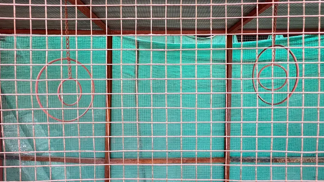 Big Steel Cage For Sale — photo 5