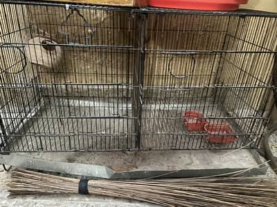 Ali cage for parrots