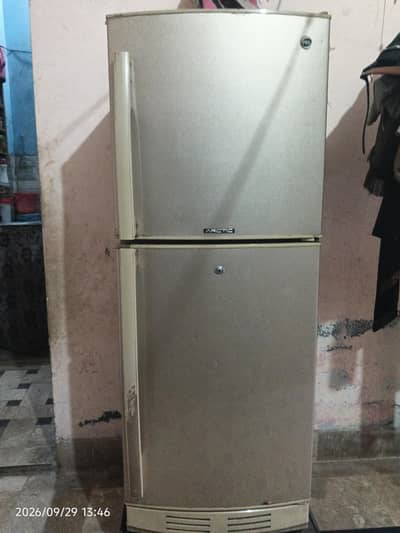 fridge pel