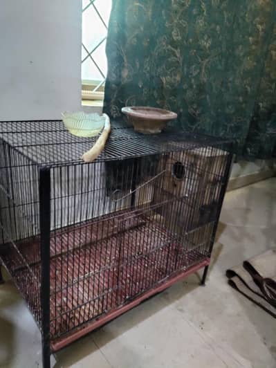 parrot cage. . metal cage jumbo size with wooden box