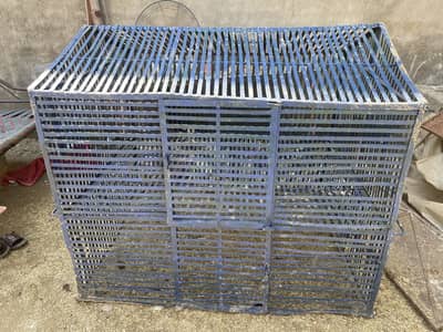 Big cage