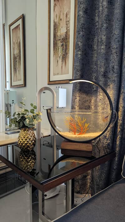 Moon Aquarium – A Touch of Luxury for Your Home!