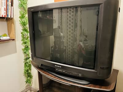 Television