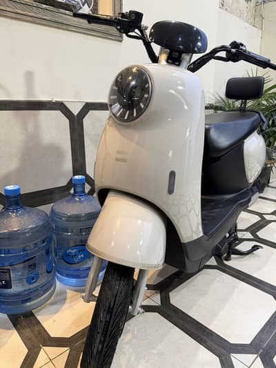 Swaige Scooty 10/10 condition