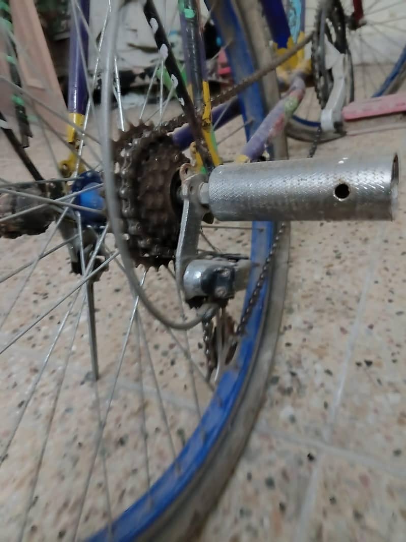 phoenix cycle 1