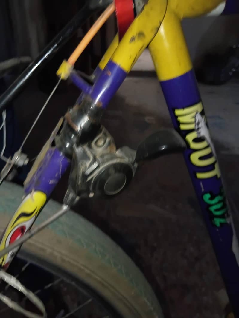 phoenix cycle 2