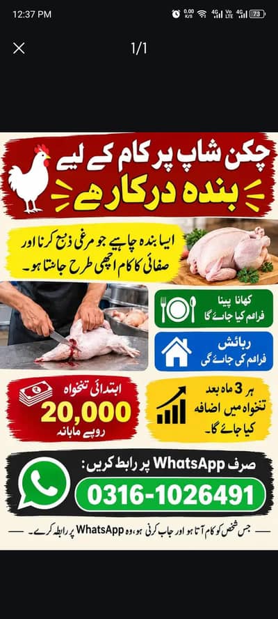chiken zaba krny ky lye urgent bnda chahiye