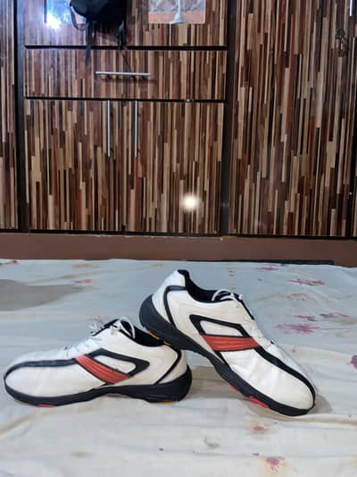 support shoes