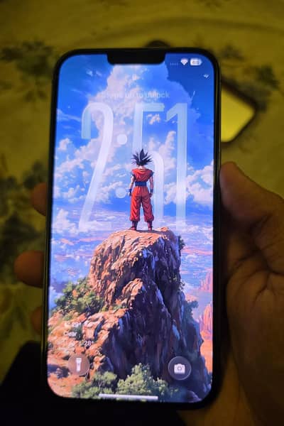 Apple iPhone 13 Pro Max