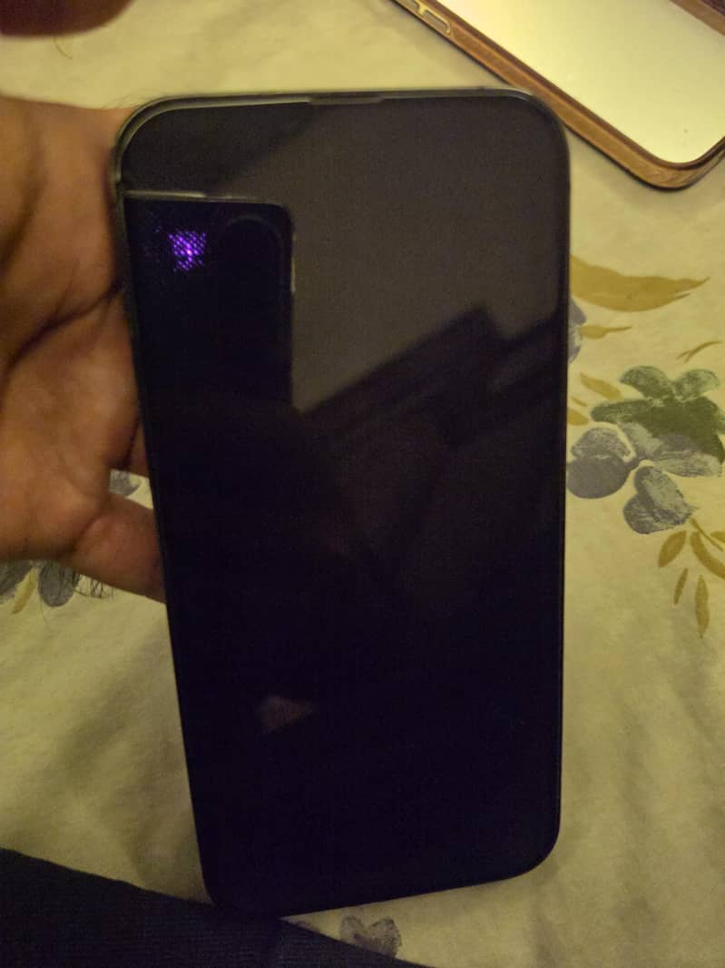 Apple iPhone 13 Pro Max 1