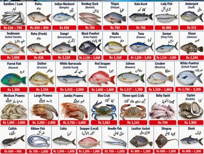 Fresh Karachi Seafood Seller