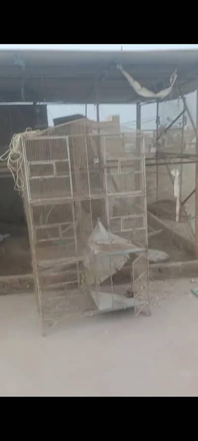 6 portion cage