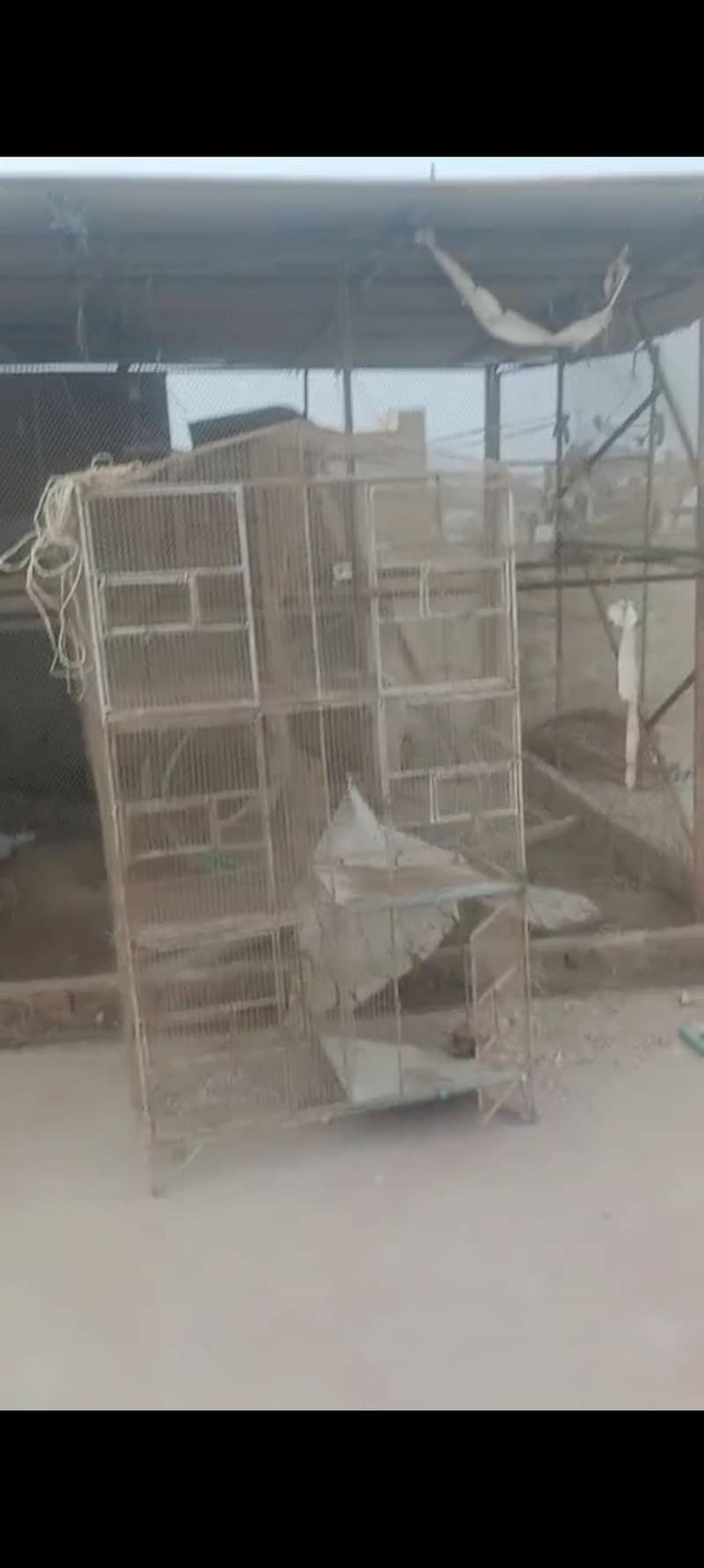 6 portion cage 0