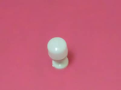bulbs