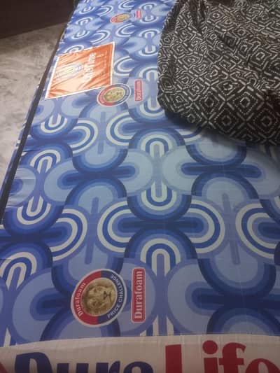 sale mattress company molly foam