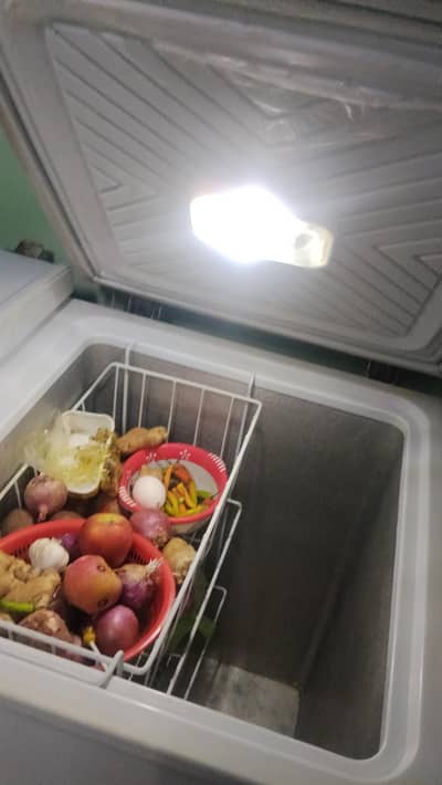 freezer for sale
