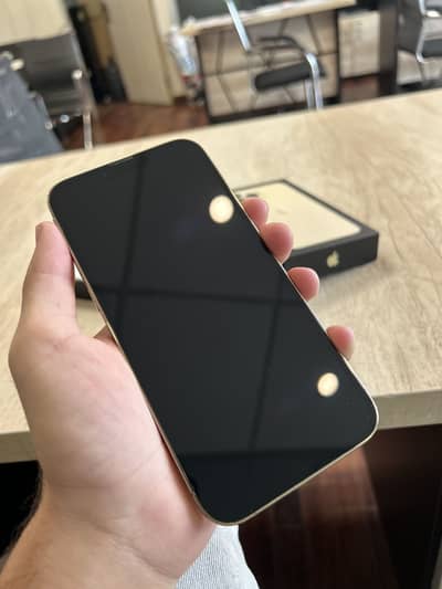Apple iPhone 13 Pro Max PTA Approved