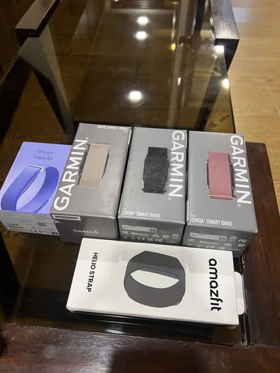 Garmin Cirqa
