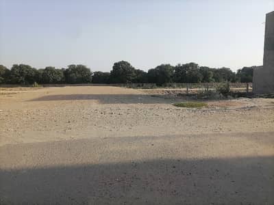Prime Location 5 Marla Residential Plot For Sale In Buch Executive Villas