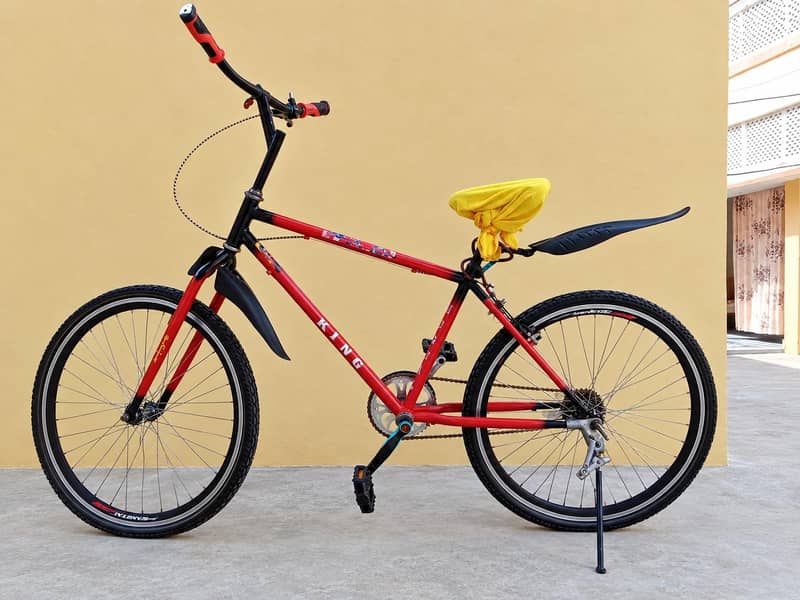 bicycle 1