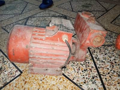 Shazad big size pump