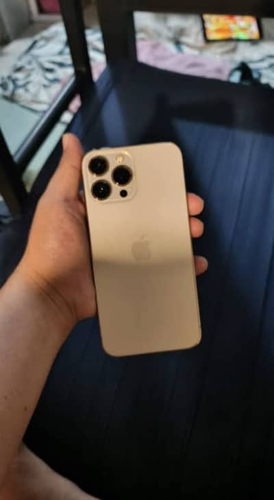 iPhone 13 pro max