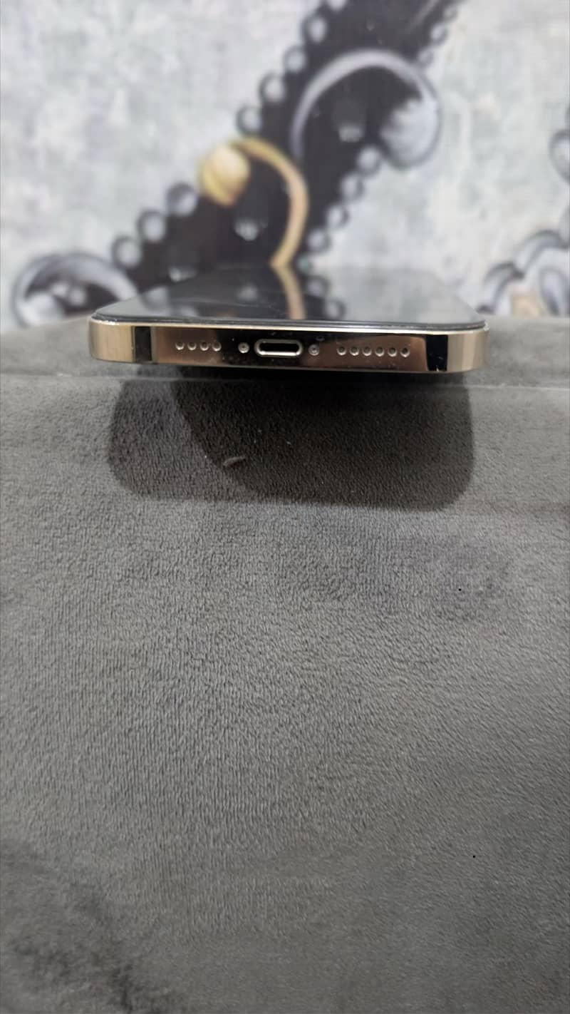 iPhone 13 pro max 1