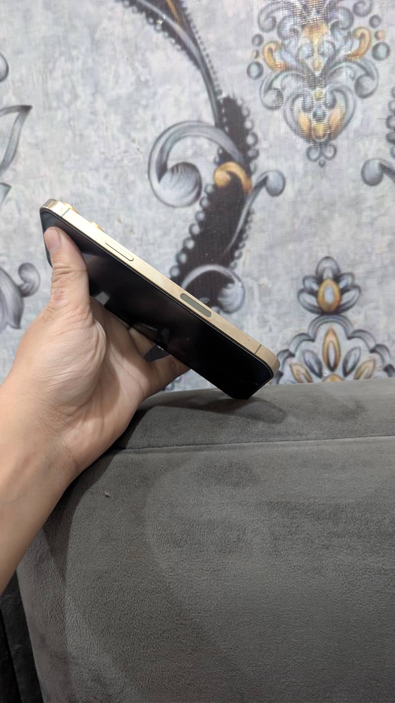 iPhone 13 pro max 2