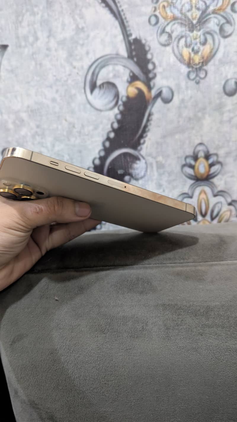 iPhone 13 pro max 4