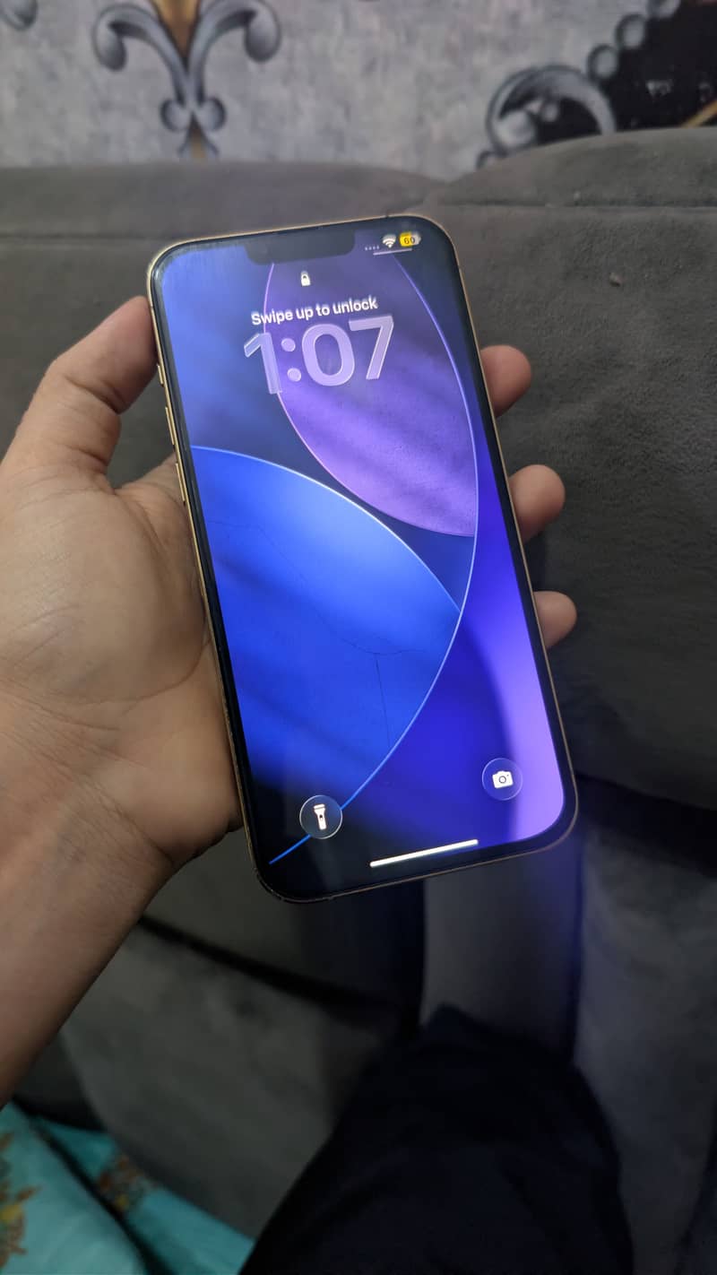 iPhone 13 pro max 5