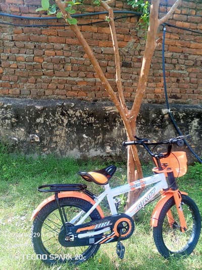 bicycle