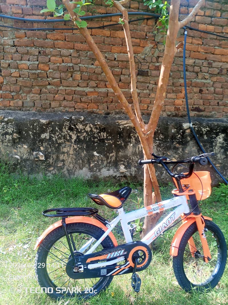 bicycle 0