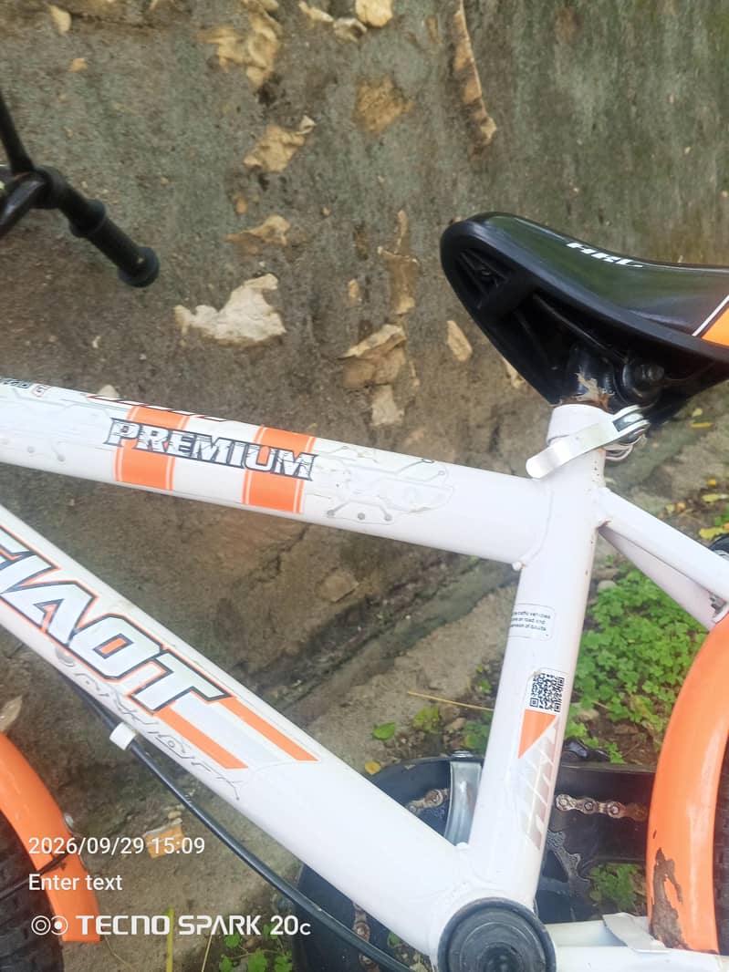 bicycle 1